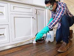 Best Real Estate Pest Inspections  in Wolf Trap, VA